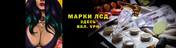 гашик Алзамай