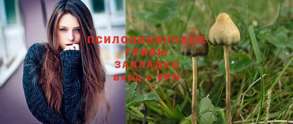 экстази Алексин