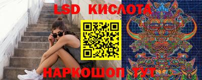 прущие грибы Краснокаменск