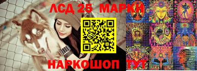 прущие грибы Краснокаменск