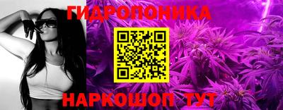 прущие грибы Краснокаменск