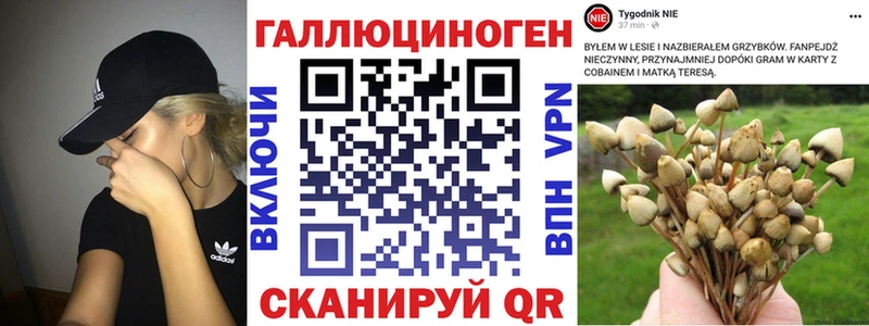 Псилоцибиновые грибы мицелий Крымск