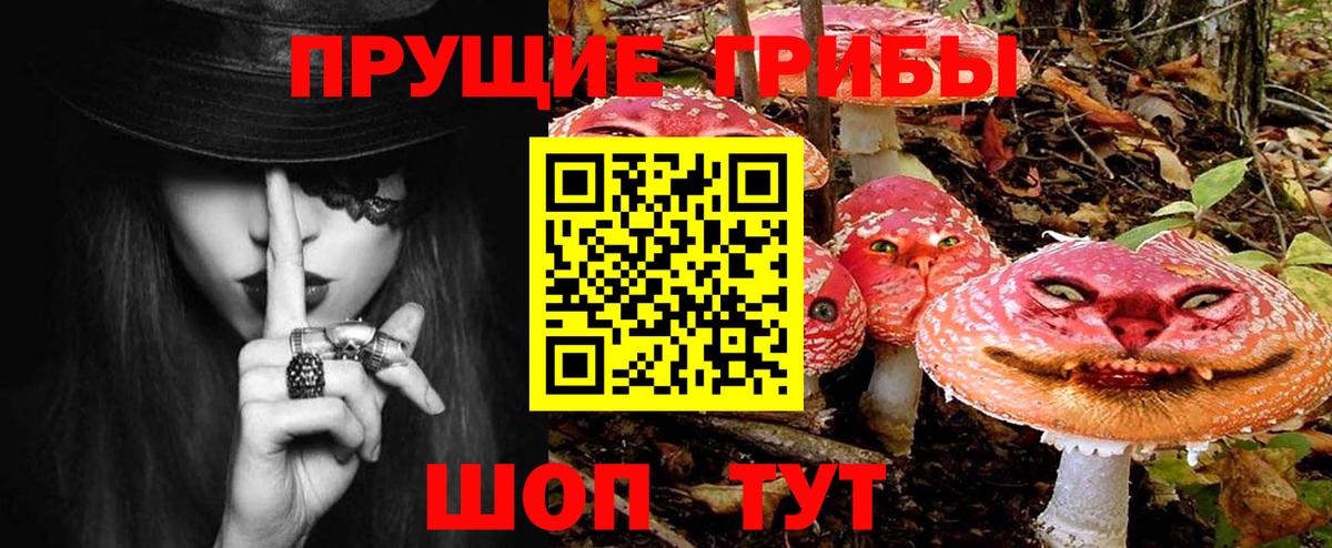 Галлюциногенные грибы мицелий Крымск