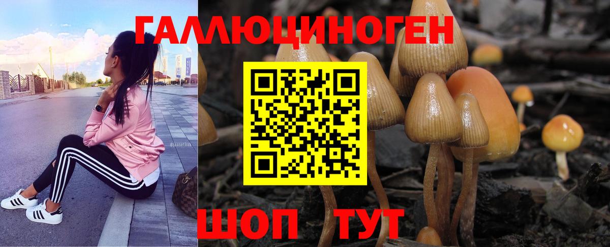 Псилоцибиновые грибы MAGIC MUSHROOMS  магазин продажи   Крымск  Галлюциногенные грибы мухоморы  Вход с VPN 